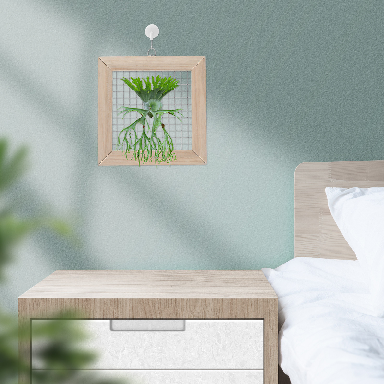 Solid Wood Staghorn Fern Mount - Frame Display Wood incelemesi ve fiyatı
