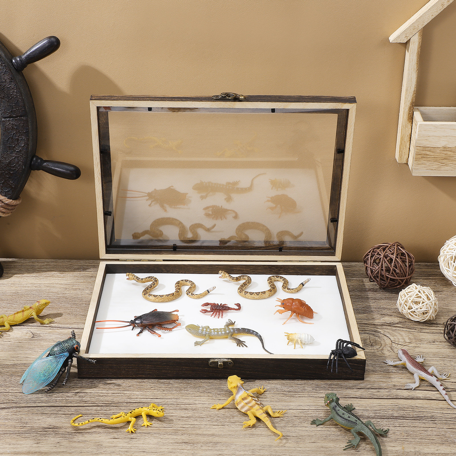 1Set Wood Specimen Storage Box - Frame Display Wood incelemesi ve fiyatı